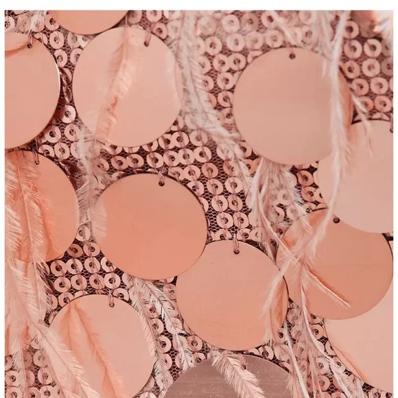 Ramy brook mini dress rose gold rina dress 2 nwt - Picture 12 of 13